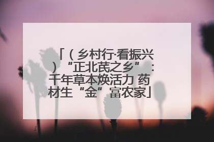 （乡村行·看振兴）“正北芪之乡”：千年草本焕活力 药材生“金”富农家