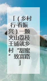 （乡村行·看振兴）一颗火山荔枝王铺就乡村“甜蜜”致富路