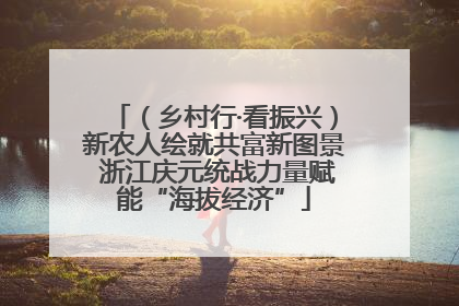 （乡村行·看振兴）新农人绘就共富新图景 浙江庆元统战力量赋能“海拔经济”