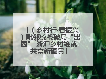 （乡村行·看振兴）毗邻统战破局“出圈” 浙沪乡村绘就共富新图景