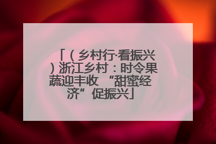 （乡村行·看振兴）浙江乡村：时令果蔬迎丰收 “甜蜜经济”促振兴