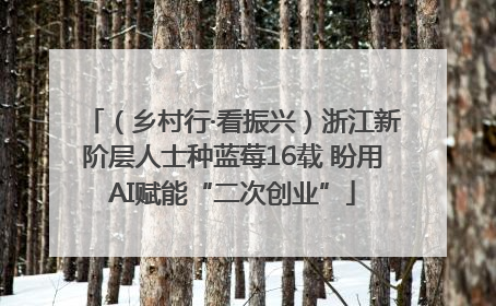 （乡村行·看振兴）浙江新阶层人士种蓝莓16载 盼用AI赋能“二次创业”