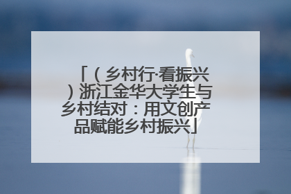 （乡村行·看振兴）浙江金华大学生与乡村结对：用文创产品赋能乡村振兴
