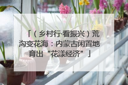 （乡村行·看振兴）荒沟变花海：内蒙古闲置地育出“花漾经济”