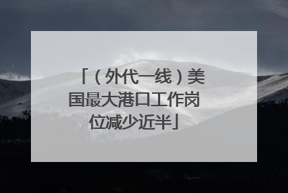 （外代一线）美国最大港口工作岗位减少近半