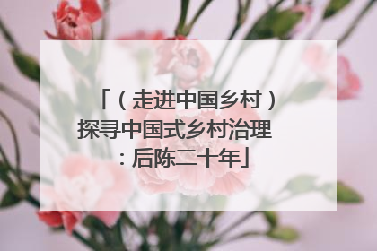 （走进中国乡村）探寻中国式乡村治理：后陈二十年