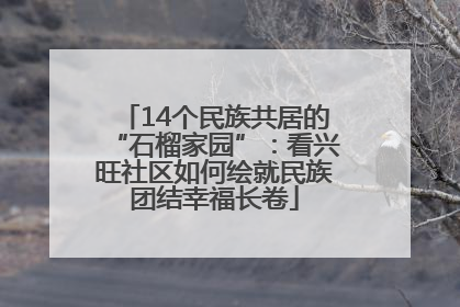 14个民族共居的“石榴家园”：看兴旺社区如何绘就民族团结幸福长卷