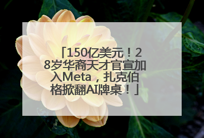 150亿美元！28岁华裔天才官宣加入Meta，扎克伯格掀翻AI牌桌！