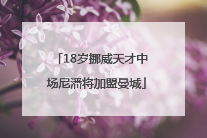 18岁挪威天才中场尼潘将加盟曼城