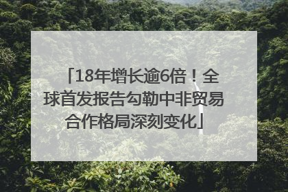 18年增长逾6倍！全球首发报告勾勒中非贸易合作格局深刻变化