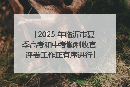 2025 年临沂市夏季高考和中考顺利收官 评卷工作正有序进行