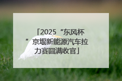 2025“东风杯”京堰新能源汽车拉力赛圆满收官