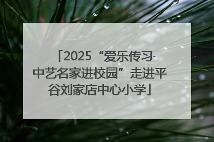 2025“爱乐传习·中艺名家进校园”走进平谷刘家店中心小学