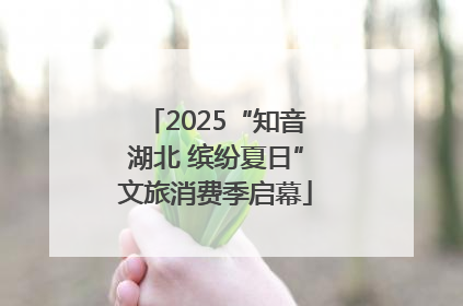 2025“知音湖北 缤纷夏日”文旅消费季启幕