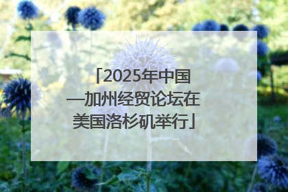 2025年中国—加州经贸论坛在美国洛杉矶举行
