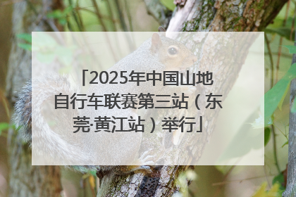 2025年中国山地自行车联赛第三站（东莞·黄江站）举行