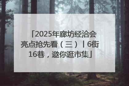 2025年廊坊经洽会亮点抢先看（三）丨6街16巷，邀你逛市集