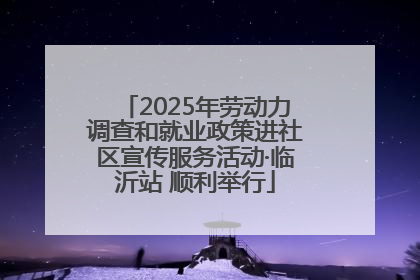 2025年劳动力调查和就业政策进社区宣传服务活动·临沂站 顺利举行