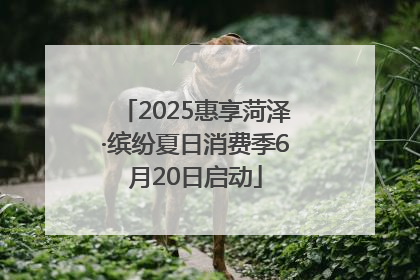 2025惠享菏泽·缤纷夏日消费季6月20日启动