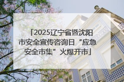 2025辽宁省暨沈阳市安全宣传咨询日“应急安全市集”火爆开市