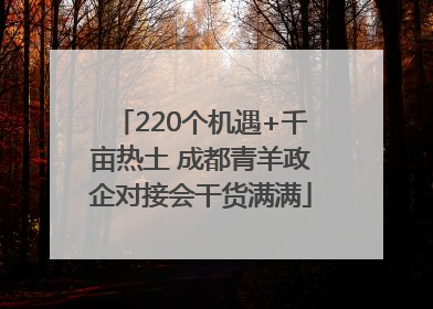 220个机遇+千亩热土 成都青羊政企对接会干货满满