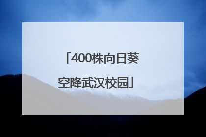 400株向日葵空降武汉校园