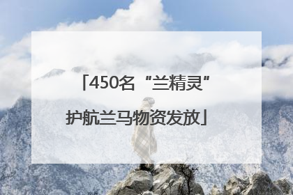 450名“兰精灵”护航兰马物资发放