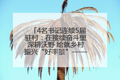 4名书记连续5届驻村：在接续奋斗里深耕沃野 绘就乡村振兴“好丰景”——浦发银行南京分行助力脱贫攻坚、帮促乡村振兴记事（二）