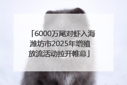 6000万尾对虾入海 潍坊市2025年增殖放流活动拉开帷幕