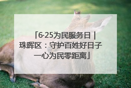 6·25为民服务日｜珠晖区：守护百姓好日子 一心为民零距离