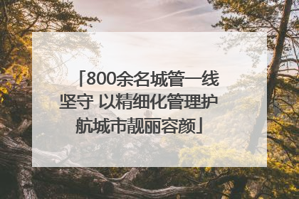 800余名城管一线坚守 以精细化管理护航城市靓丽容颜