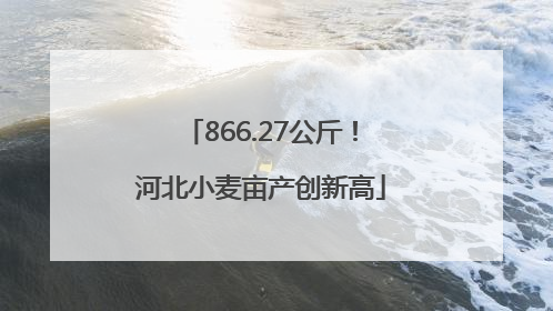 866.27公斤！河北小麦亩产创新高