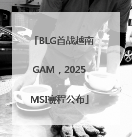 BLG首战越南GAM，2025MSI赛程公布