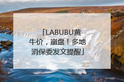 LABUBU黄牛价，崩盘！多地消保委发文提醒