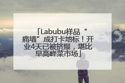 Labubu样品“痛墙”成打卡地标！开业4天已被挤爆，堪比早高峰菜市场