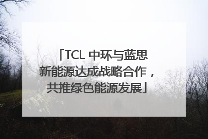 TCL 中环与蓝思新能源达成战略合作，共推绿色能源发展